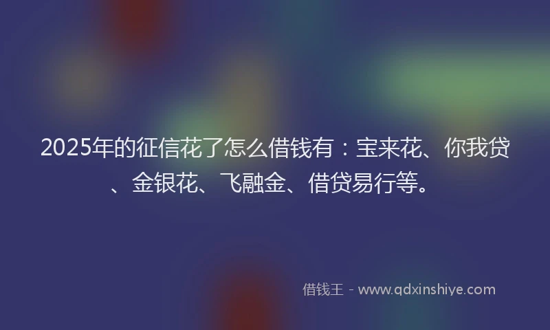 2025年的征信花了怎么借钱有：宝来花、你我贷、金银花、飞融金、借贷易行等。