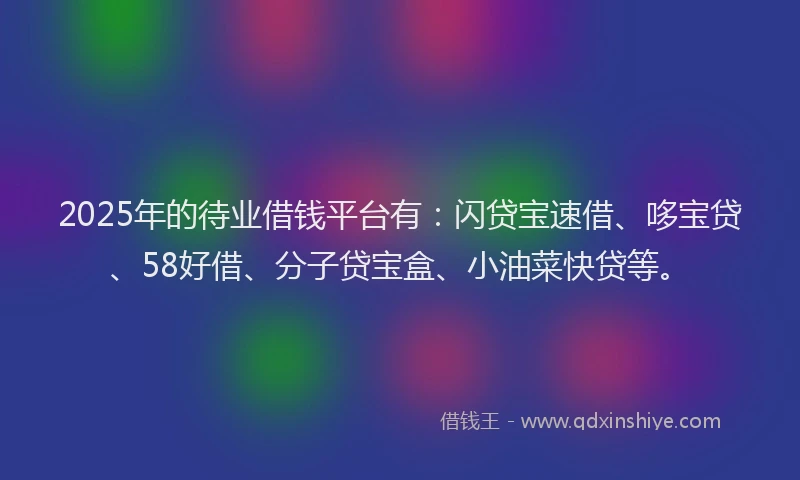 2025年的待业借钱平台有：闪贷宝速借、哆宝贷、58好借、分子贷宝盒、小油菜快贷等。