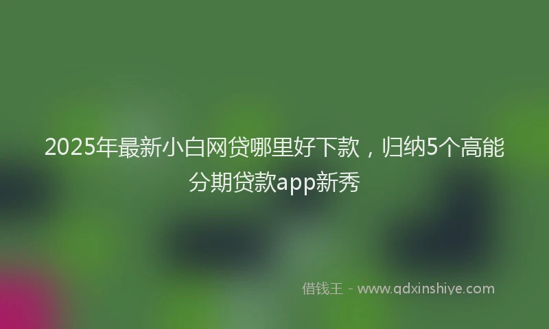 2025年最新小白网贷哪里好下款，归纳5个高能分期贷款app新秀