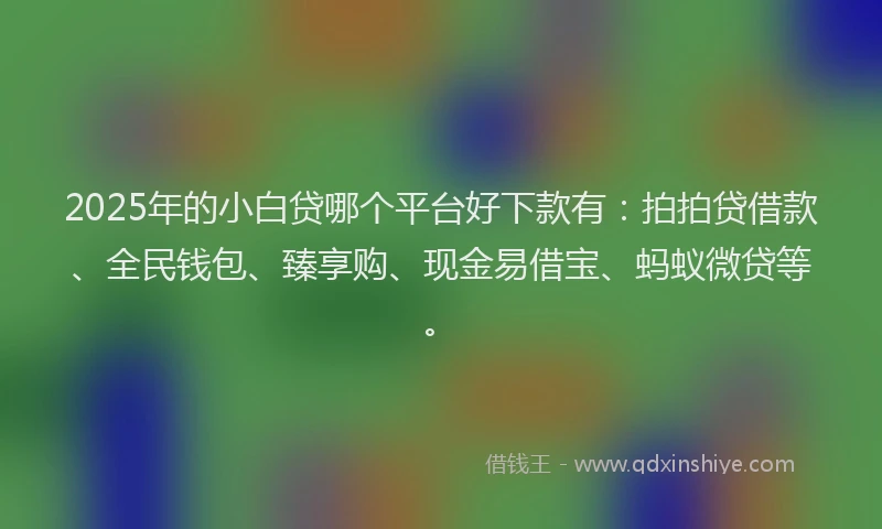 2025年的小白贷哪个平台好下款有：拍拍贷借款、全民钱包、臻享购、现金易借宝、蚂蚁微贷等。
