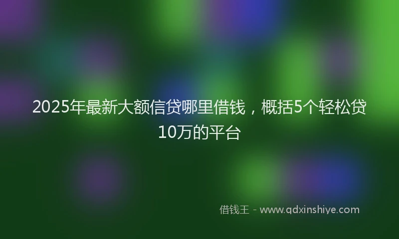 2025年最新大额信贷哪里借钱，概括5个轻松贷10万的平台