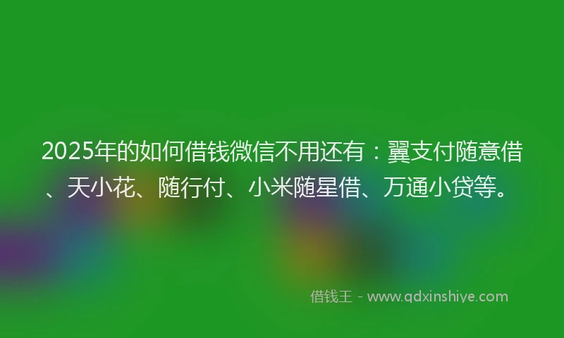 2025年的如何借钱微信不用还有：翼支付随意借、天小花、随行付、小米随星借、万通小贷等。