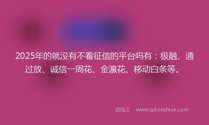 2025年的就没有不看征信的平台吗有：极融、通过放、诚信一周花、金瀛花、移动白条等。