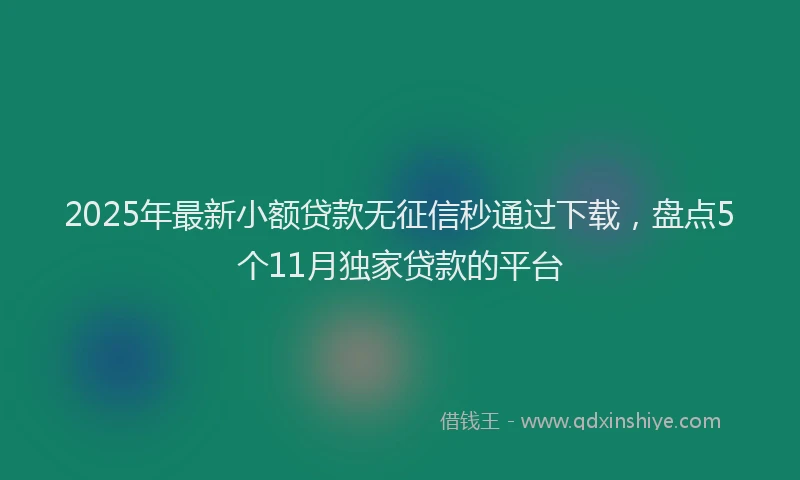 2025年最新小额贷款无征信秒通过下载，盘点5个11月独家贷款的平台