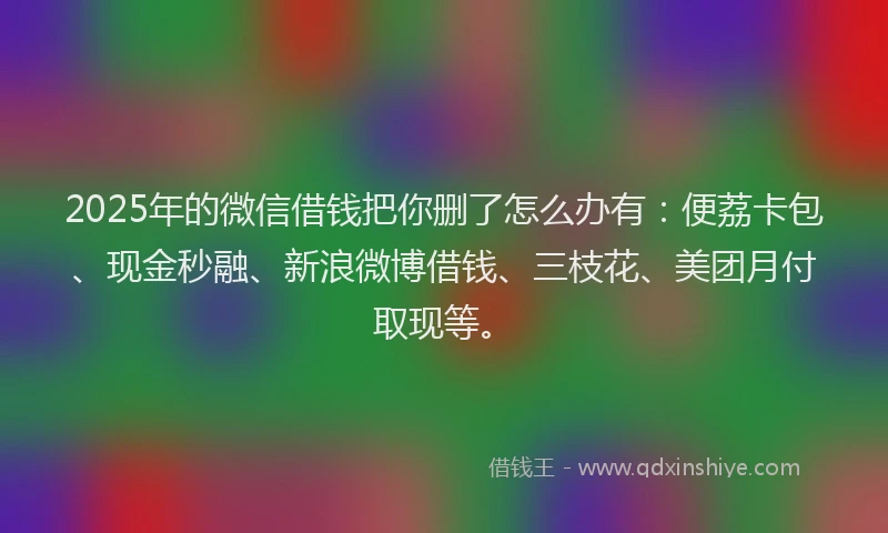 2025年的微信借钱把你删了怎么办有：便荔卡包、现金秒融、新浪微博借钱、三枝花、美团月付取现等。