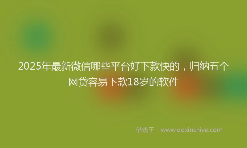 2025年最新微信哪些平台好下款快的，归纳五个网贷容易下款18岁的软件