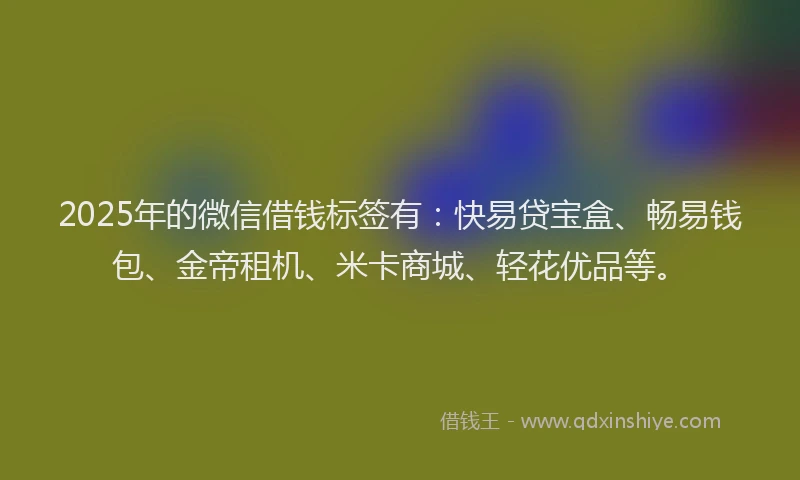 2025年的微信借钱标签有：快易贷宝盒、畅易钱包、金帝租机、米卡商城、轻花优品等。