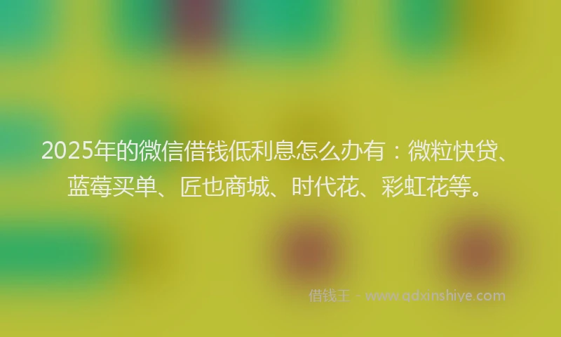 2025年的微信借钱低利息怎么办有：微粒快贷、蓝莓买单、匠也商城、时代花、彩虹花等。