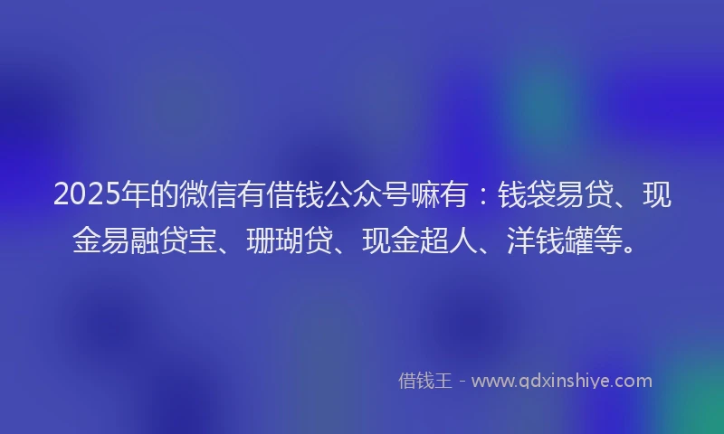 2025年的微信有借钱公众号嘛有：钱袋易贷、现金易融贷宝、珊瑚贷、现金超人、洋钱罐等。