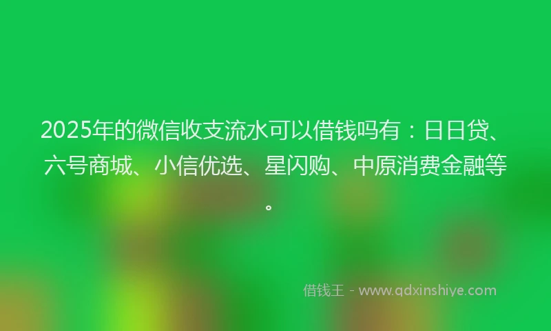 2025年的微信收支流水可以借钱吗有：日日贷、六号商城、小信优选、星闪购、中原消费金融等。