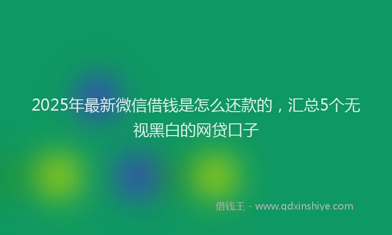 2025年最新微信借钱是怎么还款的，汇总5个无视黑白的网贷口子
