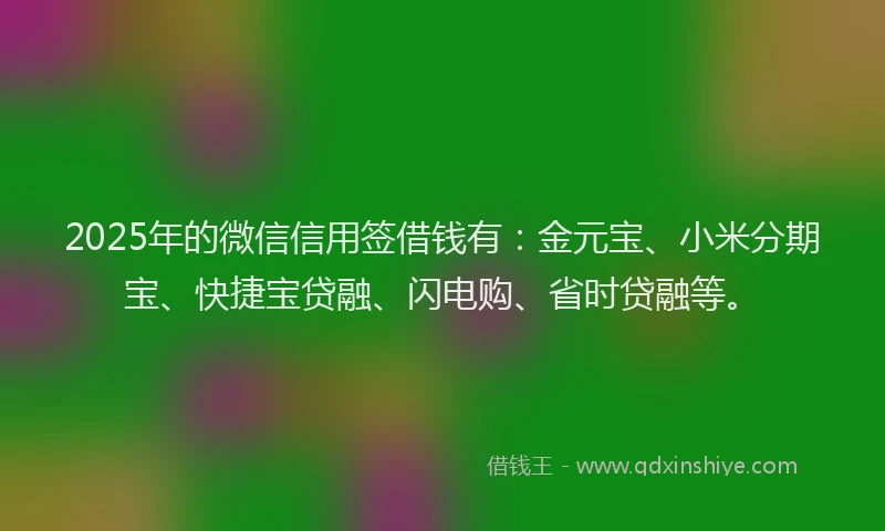 2025年的微信信用签借钱有：金元宝、小米分期宝、快捷宝贷融、闪电购、省时贷融等。