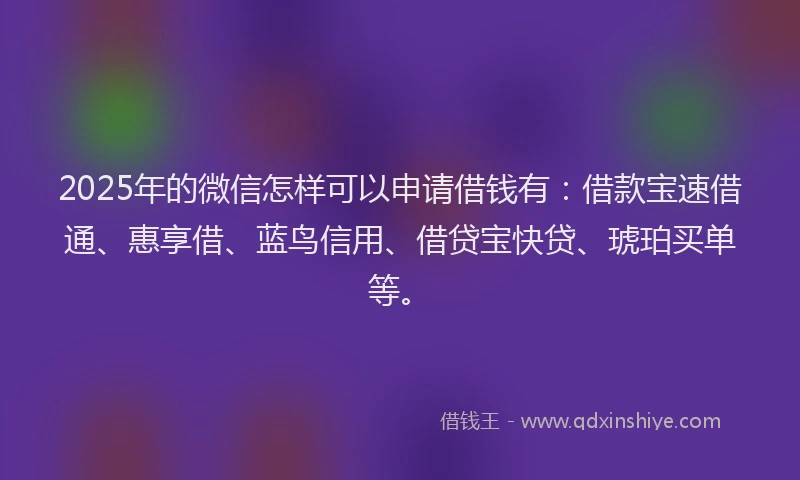 2025年的微信怎样可以申请借钱有：借款宝速借通、惠享借、蓝鸟信用、借贷宝快贷、琥珀买单等。