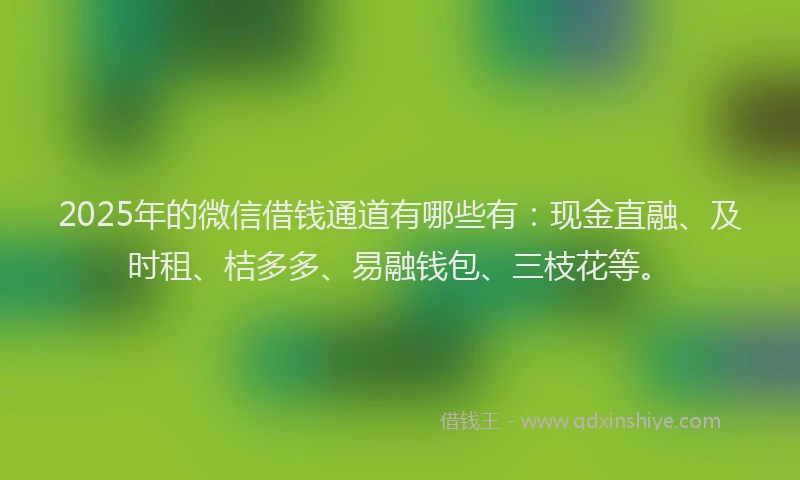 2025年的微信借钱通道有哪些有：现金直融、及时租、桔多多、易融钱包、三枝花等。
