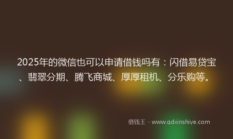 2025年的微信也可以申请借钱吗有：闪借易贷宝、翡翠分期、腾飞商城、厚厚租机、分乐购等。