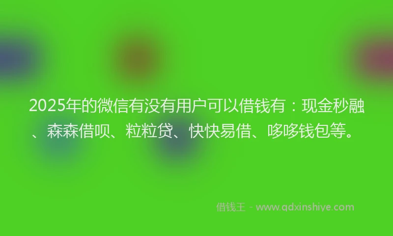 2025年的微信有没有用户可以借钱有：现金秒融、森森借呗、粒粒贷、快快易借、哆哆钱包等。
