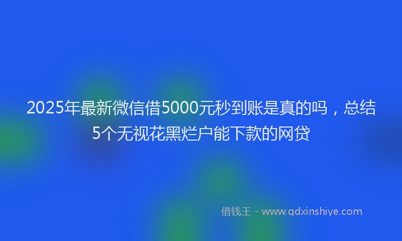 2025年最新微信借5000元秒到账是真的吗，总结5个无视花黑烂户能下款的网贷