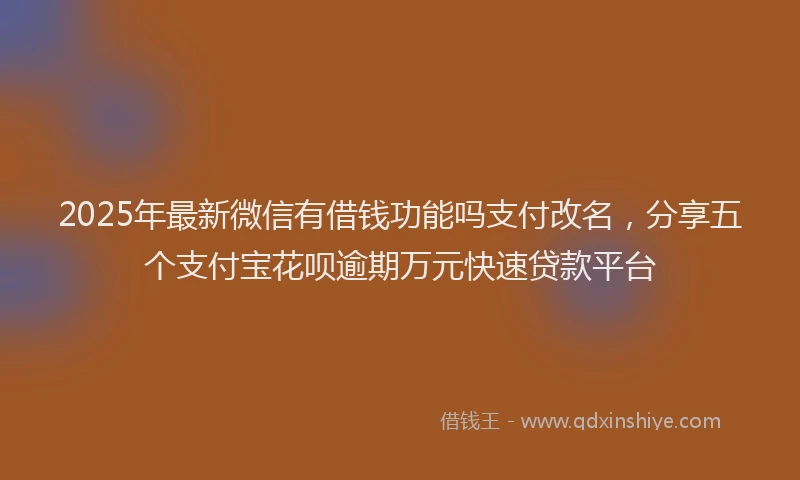2025年最新微信有借钱功能吗支付改名，分享五个支付宝花呗逾期万元快速贷款平台