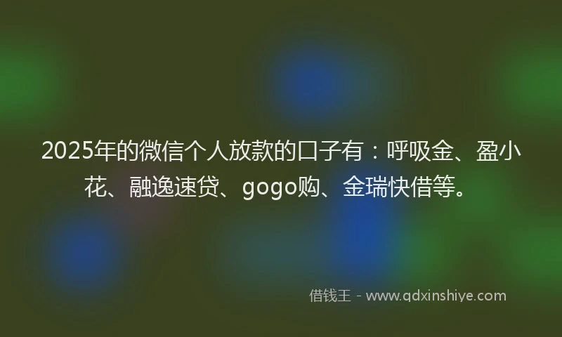 2025年的微信个人放款的口子有：呼吸金、盈小花、融逸速贷、gogo购、金瑞快借等。
