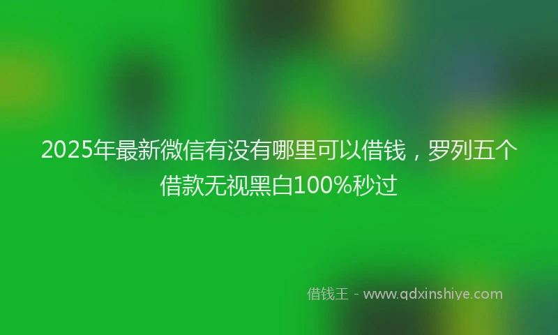2025年最新微信有没有哪里可以借钱，罗列五个借款无视黑白100%秒过