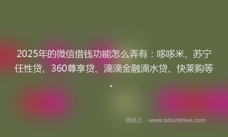 2025年的微信借钱功能怎么弄有：哆哆米、苏宁任性贷、360尊享贷、滴滴金融滴水贷、快莱购等。