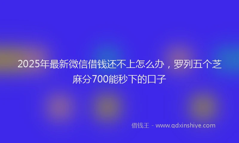 2025年最新微信借钱还不上怎么办，罗列五个芝麻分700能秒下的口子