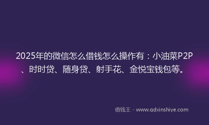 2025年的微信怎么借钱怎么操作有：小油菜P2P、时时贷、随身贷、射手花、金悦宝钱包等。