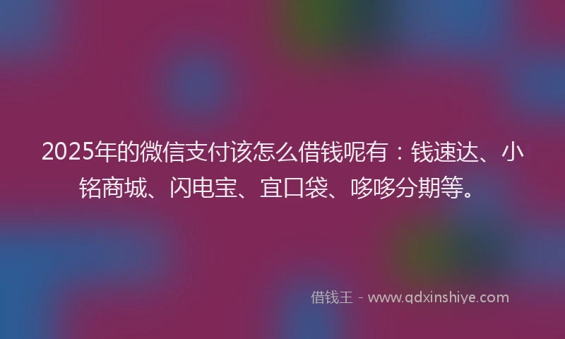 2025年的微信支付该怎么借钱呢有：钱速达、小铭商城、闪电宝、宜口袋、哆哆分期等。