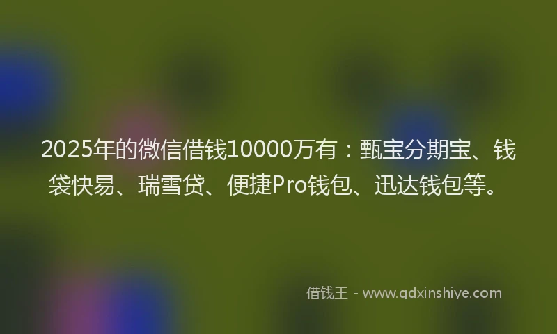 2025年的微信借钱10000万有：甄宝分期宝、钱袋快易、瑞雪贷、便捷Pro钱包、迅达钱包等。