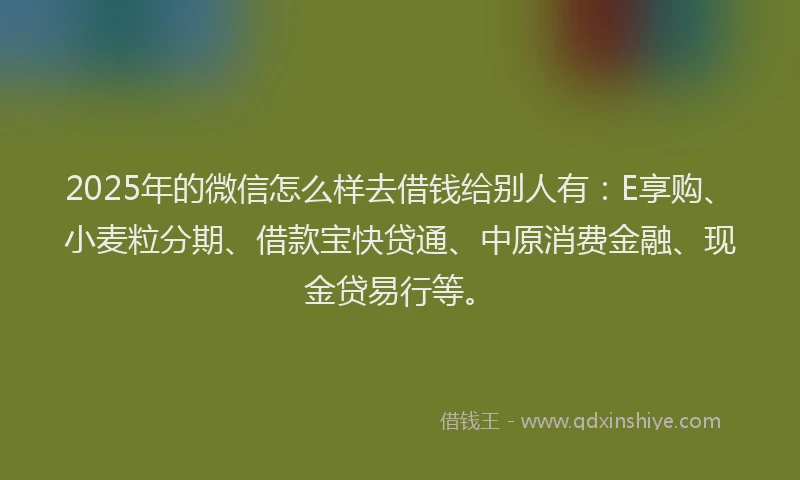 2025年的微信怎么样去借钱给别人有：E享购、小麦粒分期、借款宝快贷通、中原消费金融、现金贷易行等。