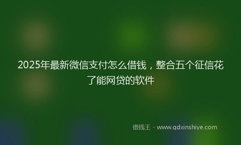 2025年最新微信支付怎么借钱，整合五个征信花了能网贷的软件