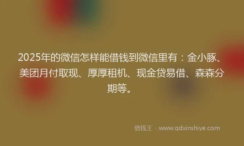 2025年的微信怎样能借钱到微信里有：金小豚、美团月付取现、厚厚租机、现金贷易借、森森分期等。
