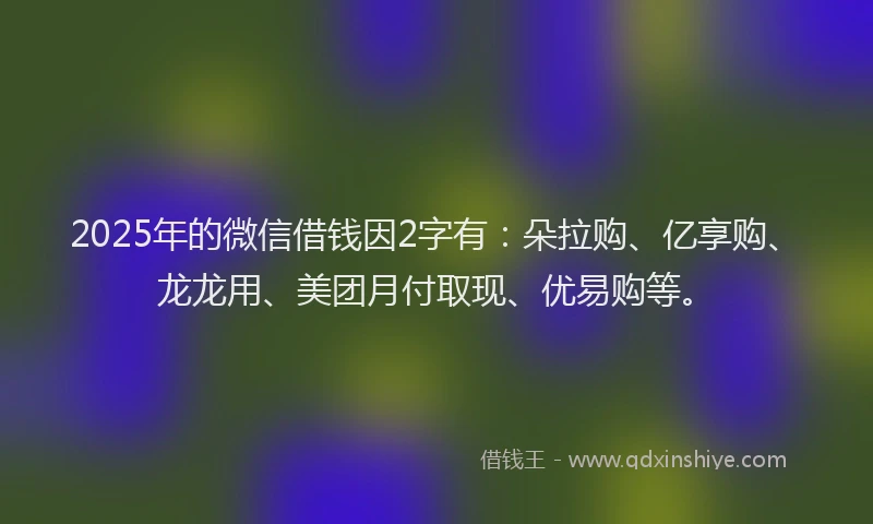 2025年的微信借钱因2字有：朵拉购、亿享购、龙龙用、美团月付取现、优易购等。