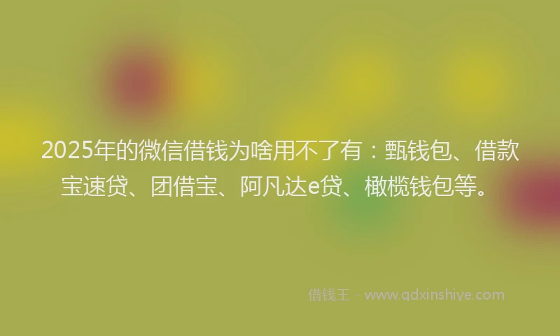 2025年的微信借钱为啥用不了有：甄钱包、借款宝速贷、团借宝、阿凡达e贷、橄榄钱包等。