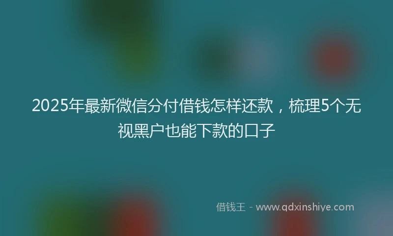 2025年最新微信分付借钱怎样还款，梳理5个无视黑户也能下款的口子
