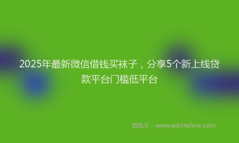 2025年最新微信借钱买袜子，分享5个新上线贷款平台门槛低平台