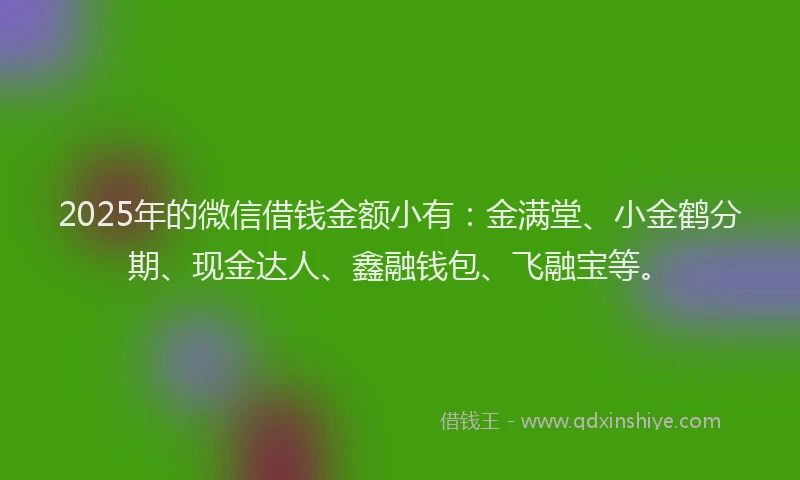 2025年的微信借钱金额小有：金满堂、小金鹤分期、现金达人、鑫融钱包、飞融宝等。