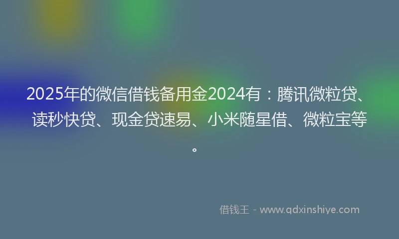 2025年的微信借钱备用金2024有：腾讯微粒贷、读秒快贷、现金贷速易、小米随星借、微粒宝等。