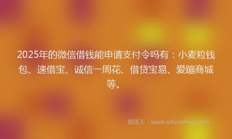 2025年的微信借钱能申请支付令吗有：小麦粒钱包、速借宝、诚信一周花、借贷宝易、爱蹦商城等。