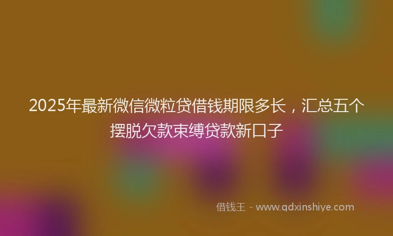 2025年最新微信微粒贷借钱期限多长，汇总五个摆脱欠款束缚贷款新口子