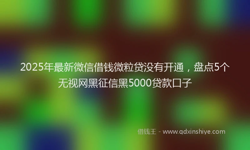 2025年最新微信借钱微粒贷没有开通，盘点5个无视网黑征信黑5000贷款口子