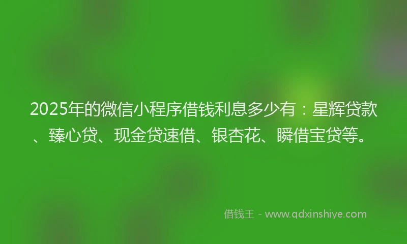 2025年的微信小程序借钱利息多少有：星辉贷款、臻心贷、现金贷速借、银杏花、瞬借宝贷等。