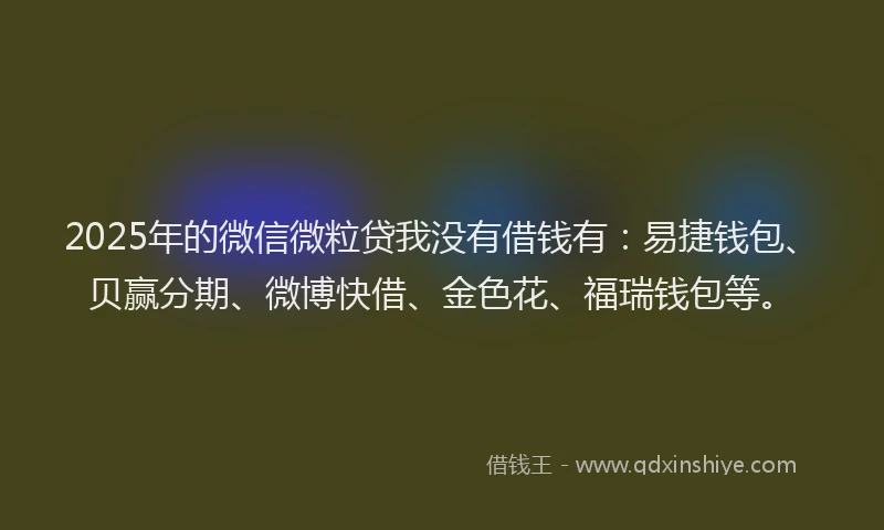 2025年的微信微粒贷我没有借钱有：易捷钱包、贝赢分期、微博快借、金色花、福瑞钱包等。