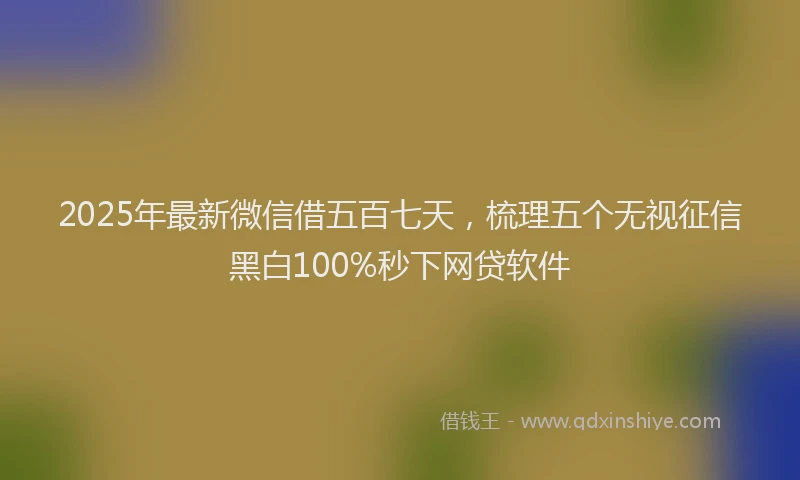 2025年最新微信借五百七天，梳理五个无视征信黑白100%秒下网贷软件
