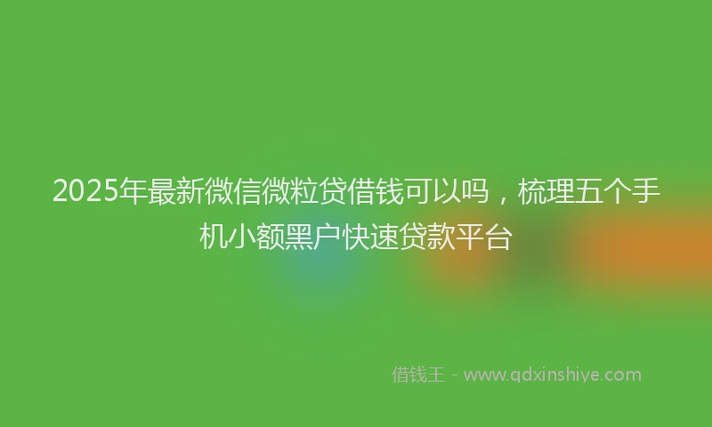 2025年最新微信微粒贷借钱可以吗，梳理五个手机小额黑户快速贷款平台