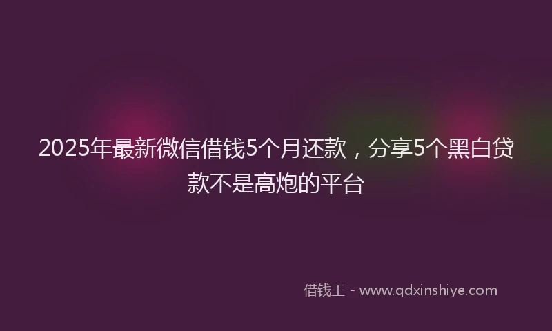 2025年最新微信借钱5个月还款，分享5个黑白贷款不是高炮的平台