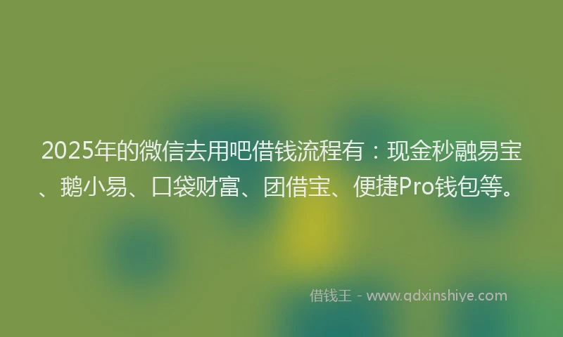 2025年的微信去用吧借钱流程有：现金秒融易宝、鹅小易、口袋财富、团借宝、便捷Pro钱包等。