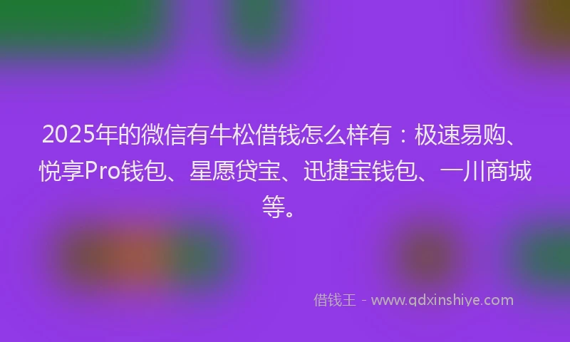 2025年的微信有牛松借钱怎么样有：极速易购、悦享Pro钱包、星愿贷宝、迅捷宝钱包、一川商城等。