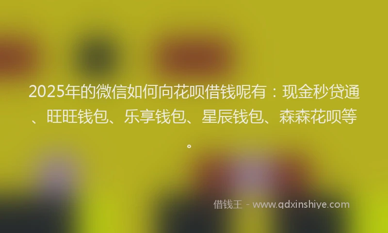 2025年的微信如何向花呗借钱呢有：现金秒贷通、旺旺钱包、乐享钱包、星辰钱包、森森花呗等。