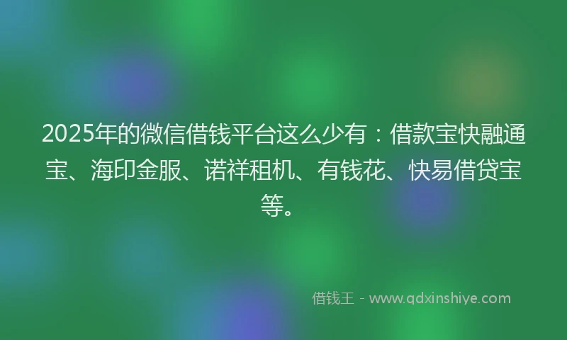 2025年的微信借钱平台这么少有：借款宝快融通宝、海印金服、诺祥租机、有钱花、快易借贷宝等。